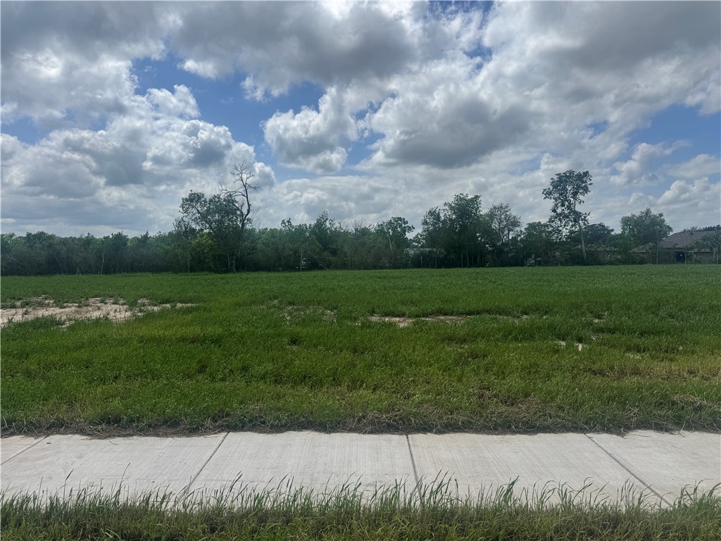 2314 Pagosa Springs Drive — photo