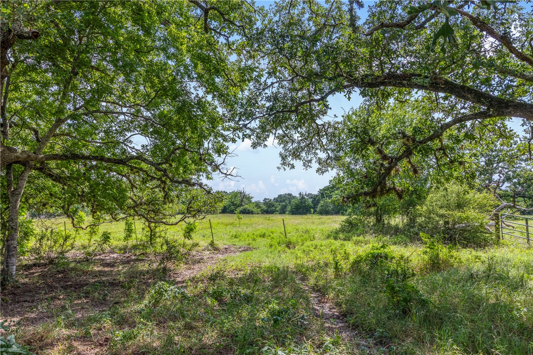 11504 North Dowling Road — photo