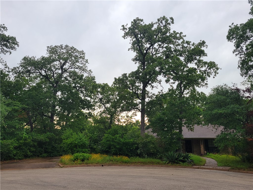 2707 Teakwood Court — photo