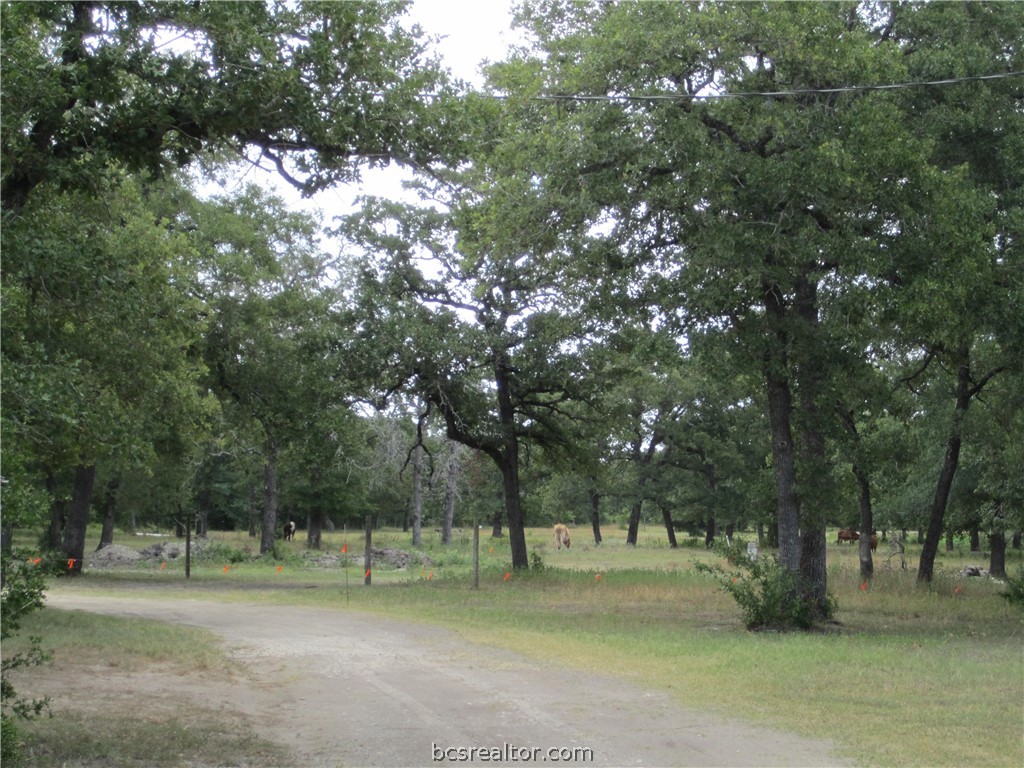6070 Fm 60 E, Somerville, TX 77879 — photo 2