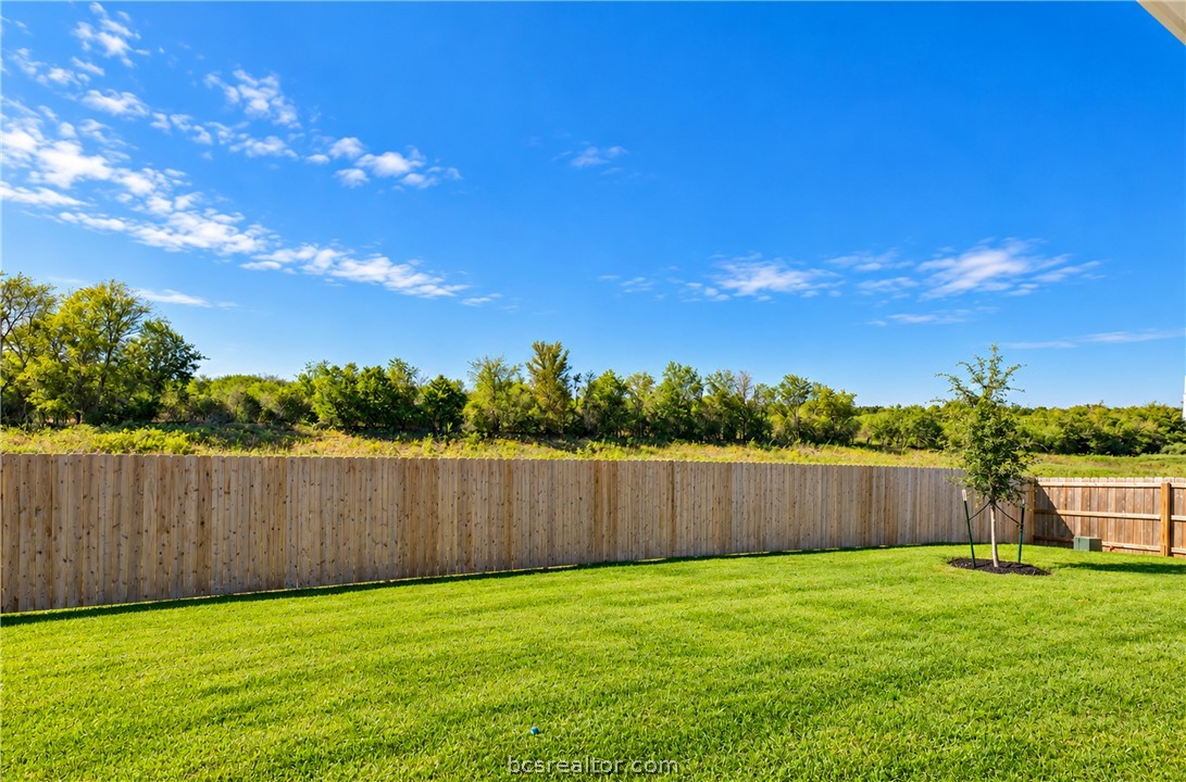 3560 Pointe du Hoc Loop, Bryan, TX 77808 — photo 3