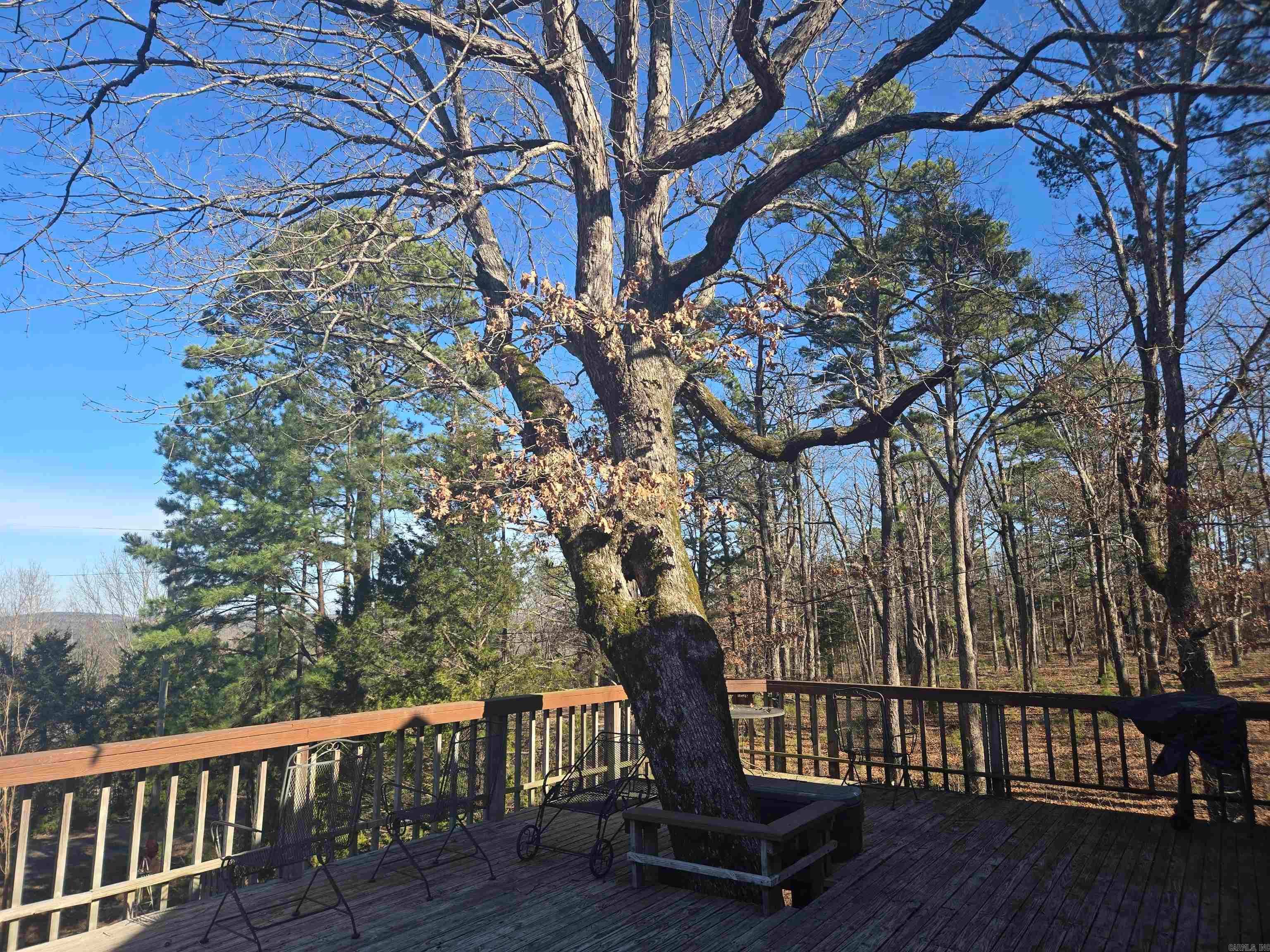 Home in Drasco, AR 72530 — photo 2