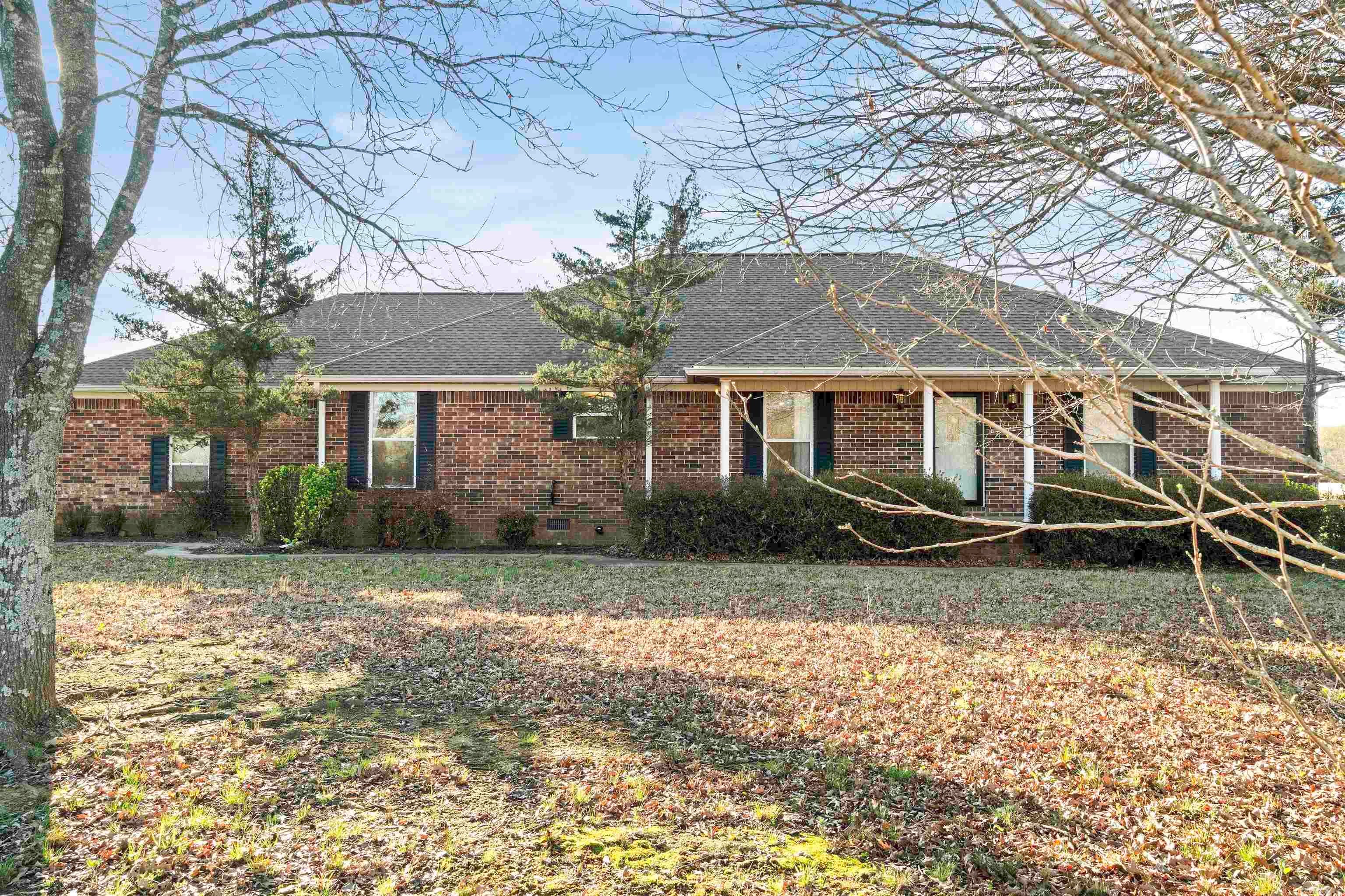 155 Jaybird — photo
