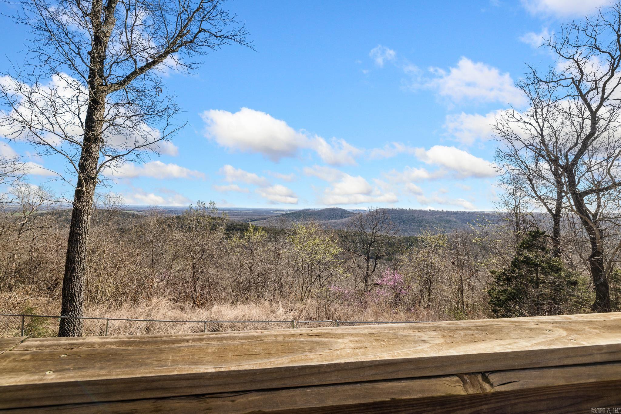 10974 Ricks Drive, Harrison, AR 72601 — photo 3