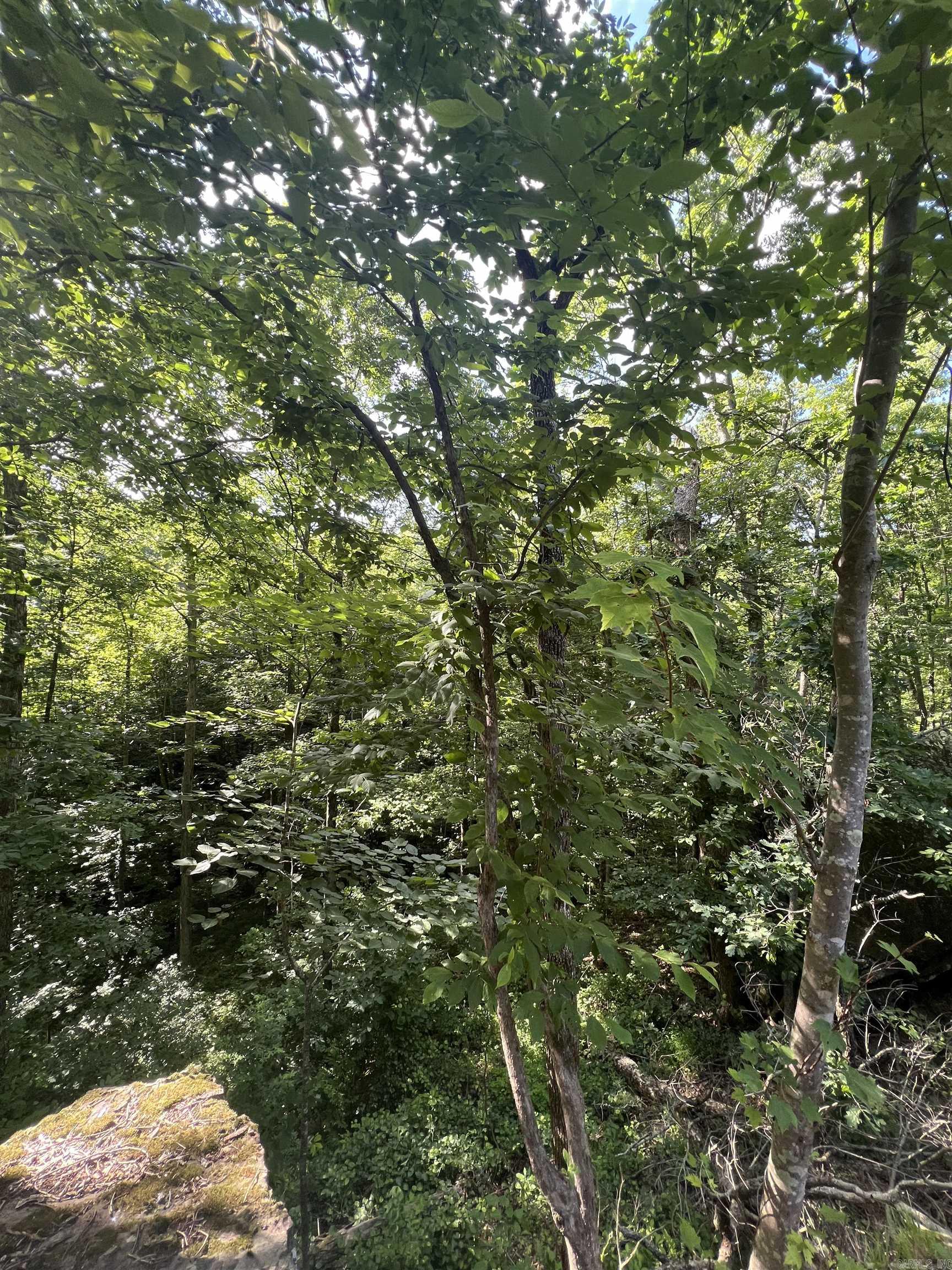1070 Brewer Road — photo