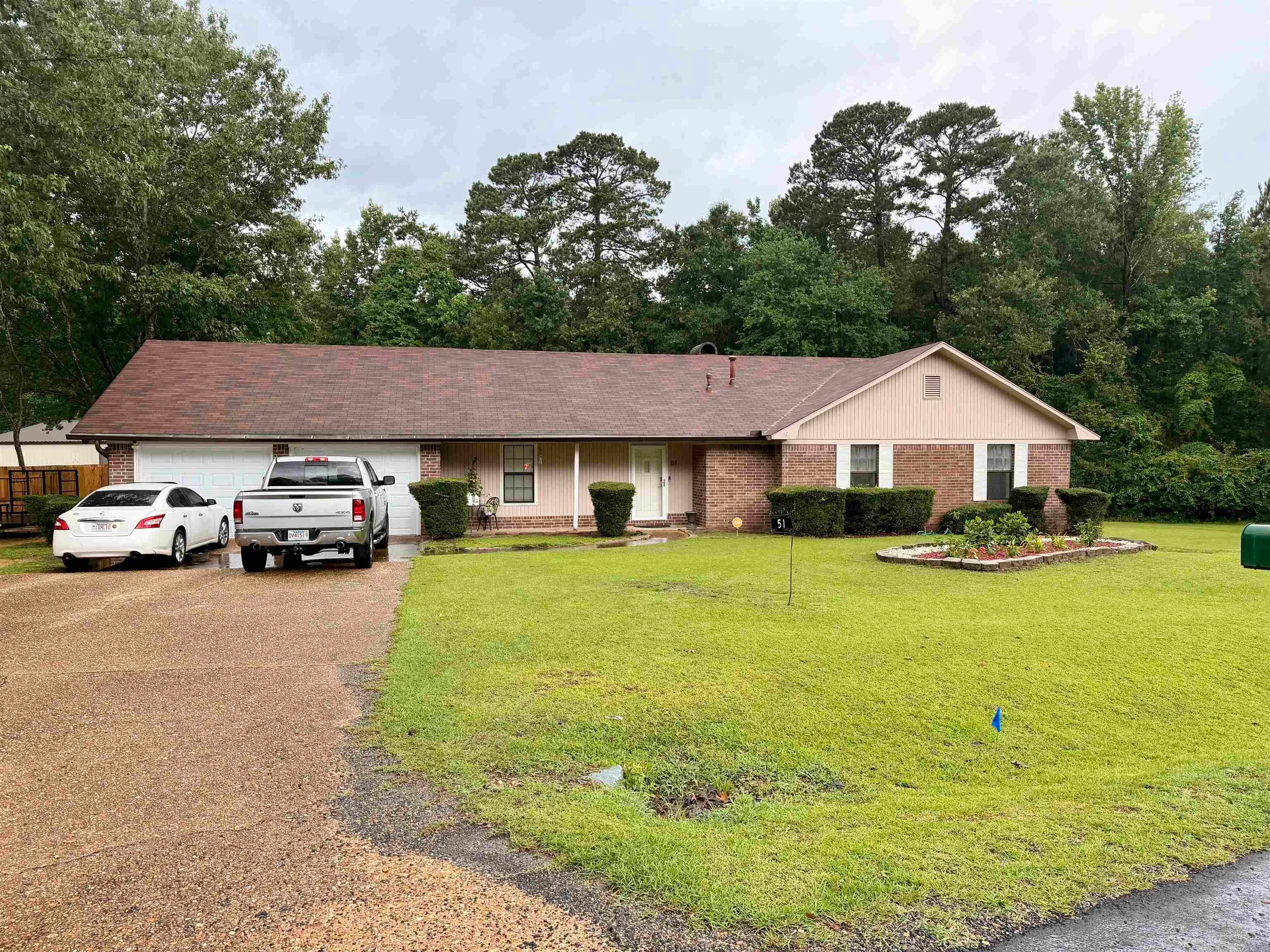 51 Sassafras — photo