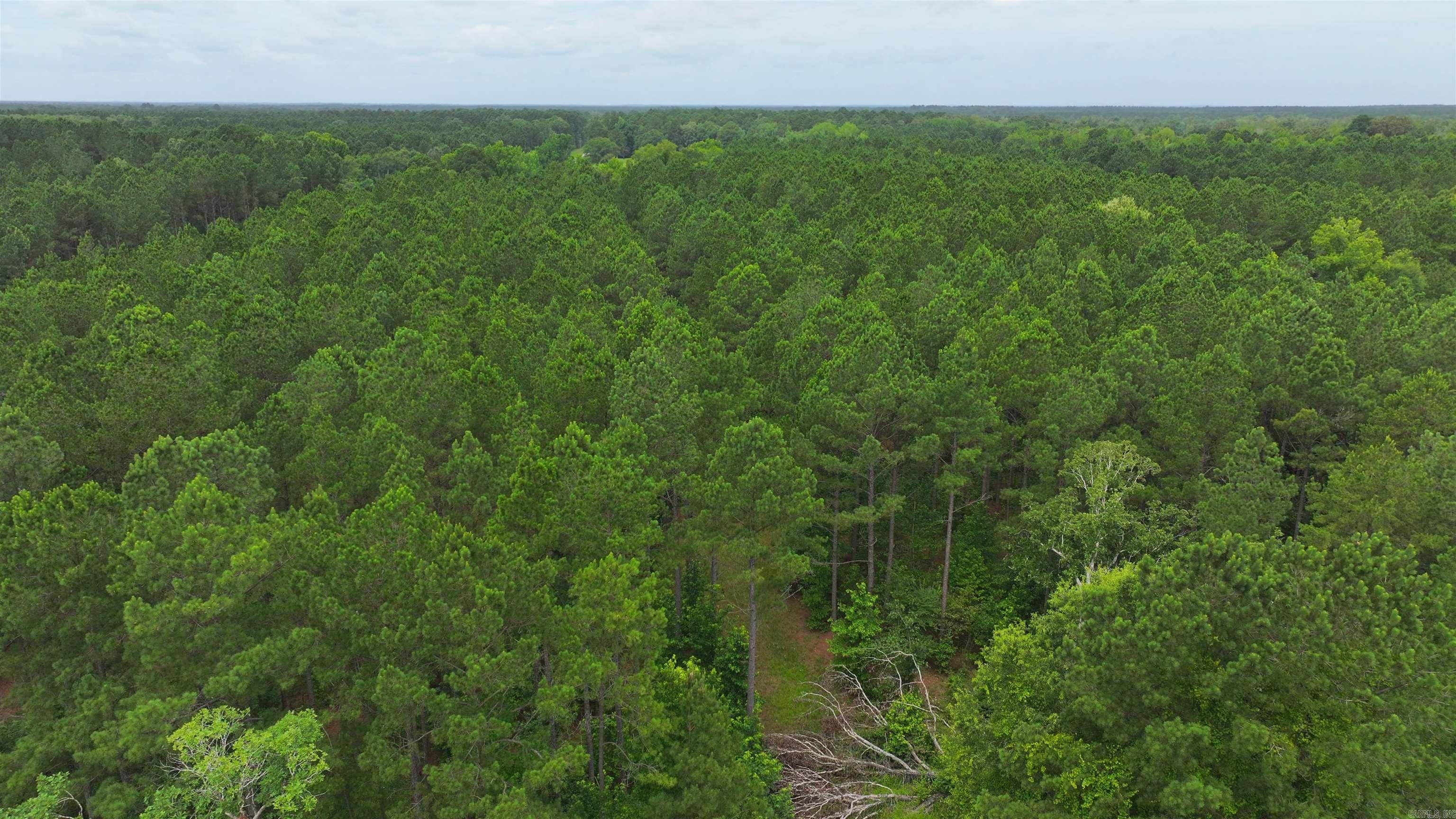 Home in Hampton, AR 71744 — photo 3
