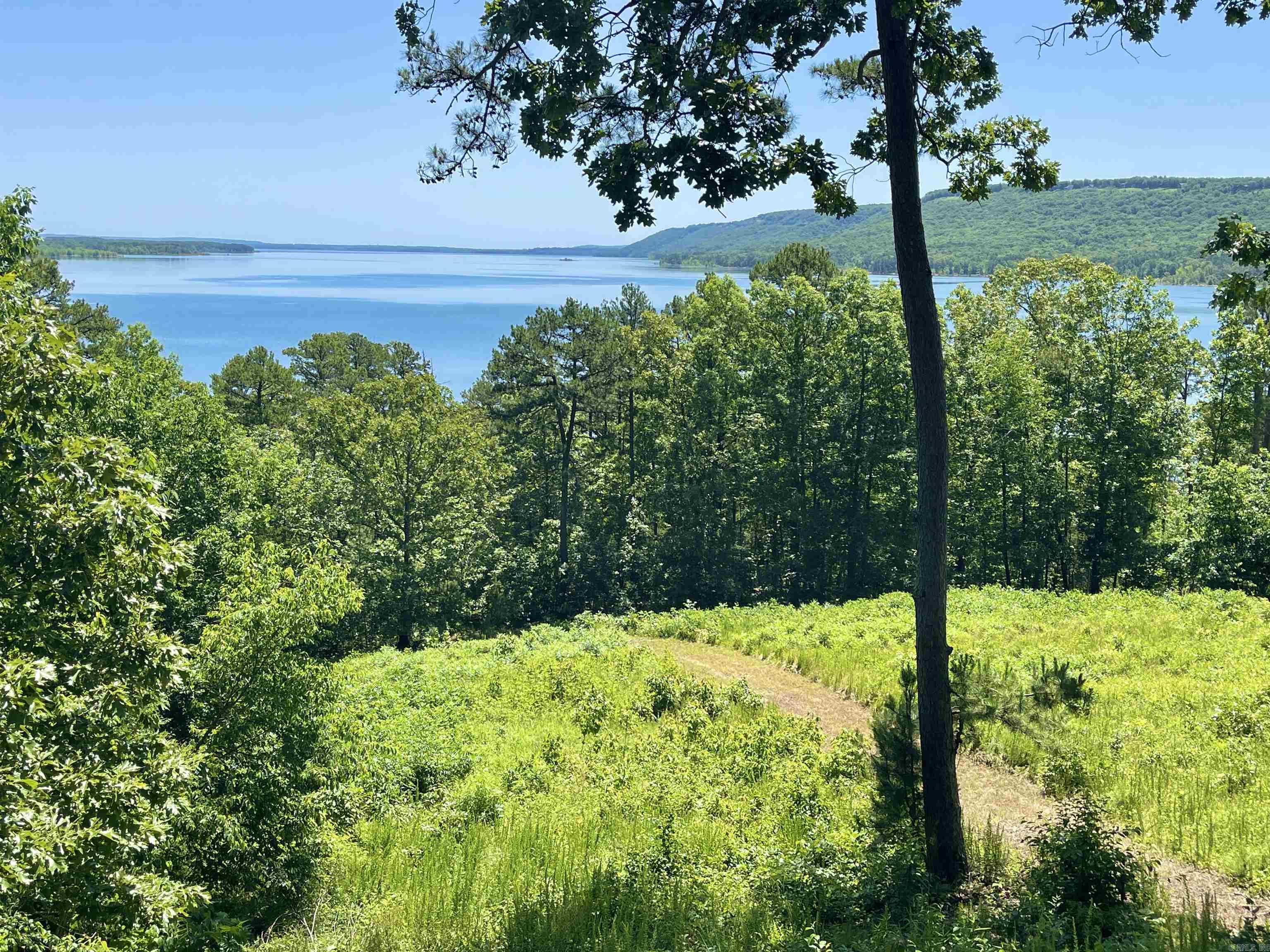 389 Tortoise Bay Road, Higden, AR 72067 — photo 2
