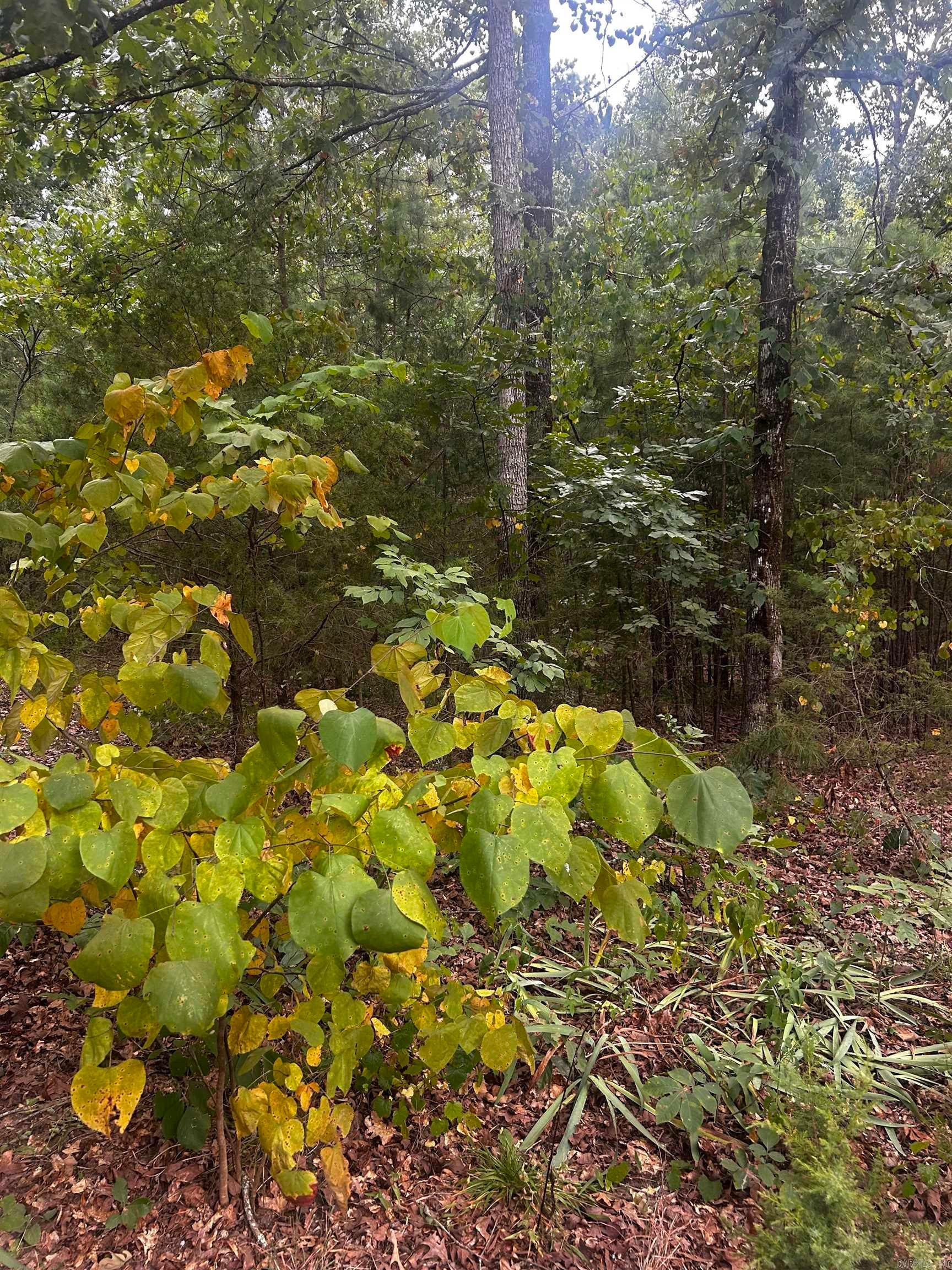 1223 Mill Creek Road — photo