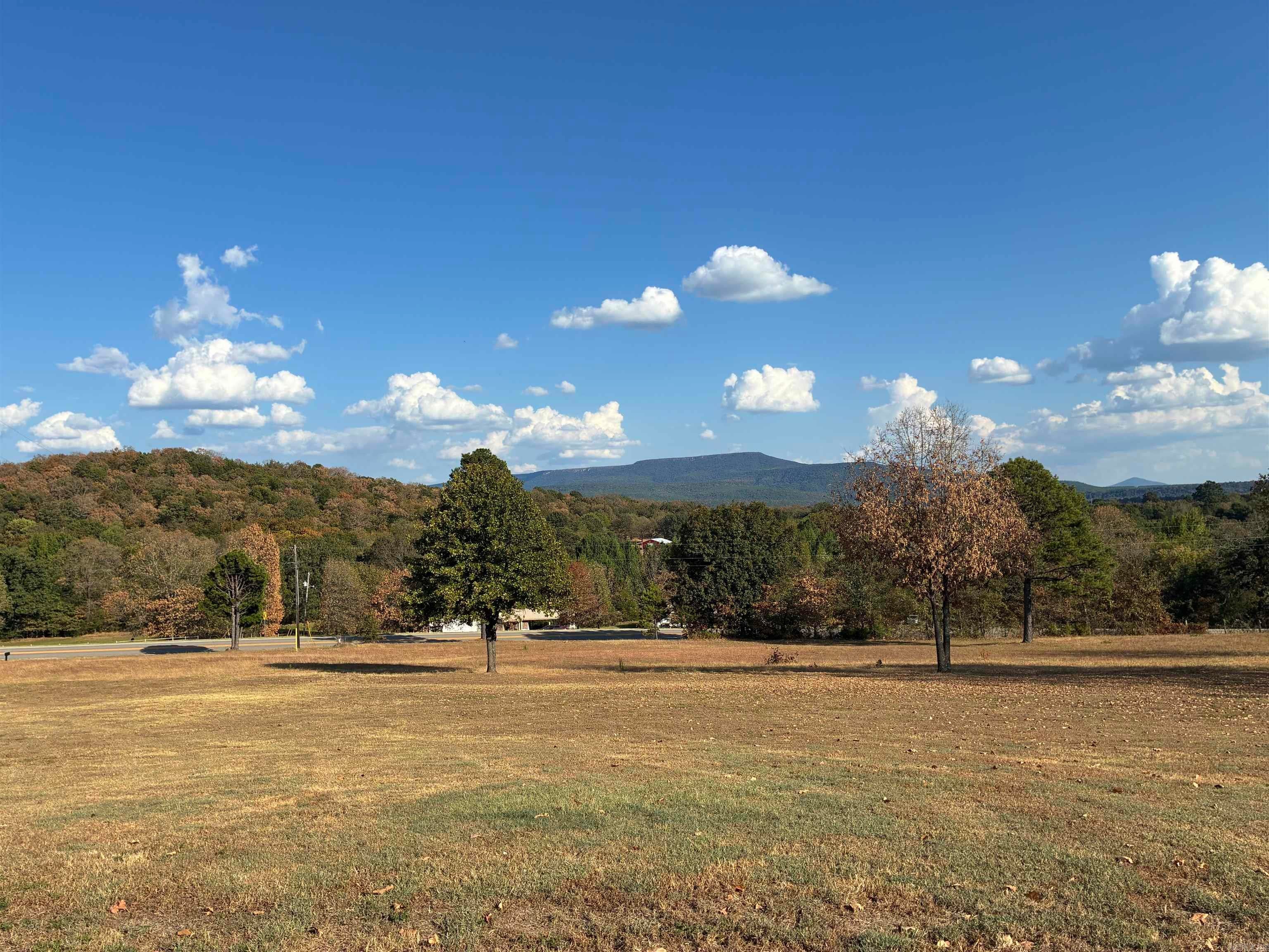 Home in Magazine, AR 72943 — photo 2