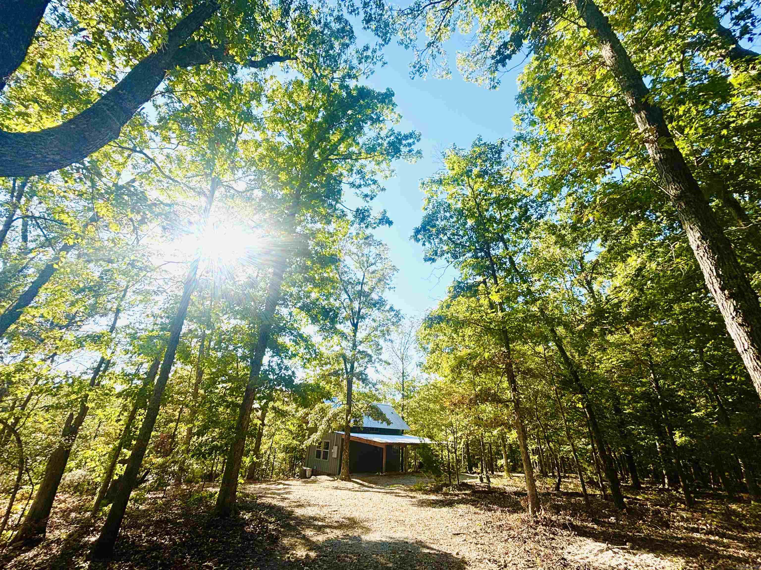 261 Mitchell Road, Mountain View, AR 72560 — photo 2