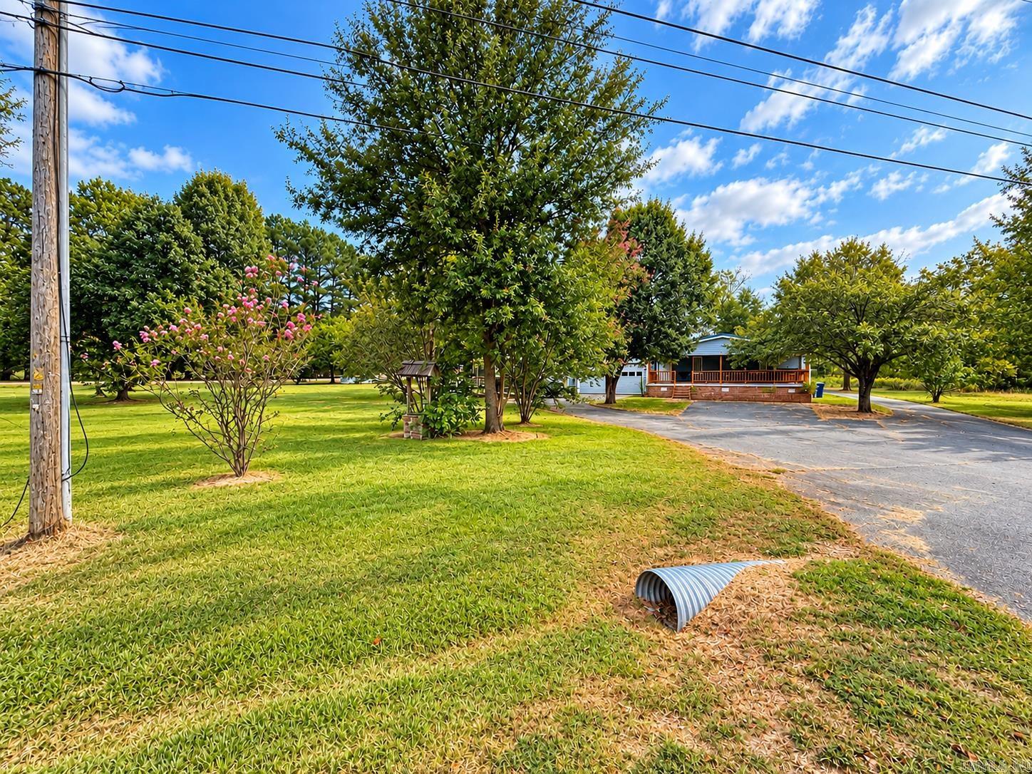 Willie Ray Drive — photo