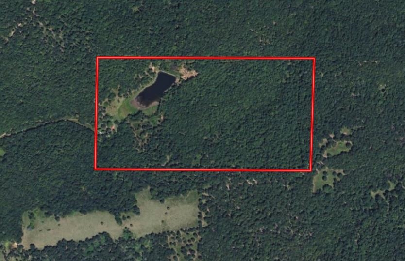 5642 Oak Ridge Road, Ravenden Springs, AR 72460 — photo 2