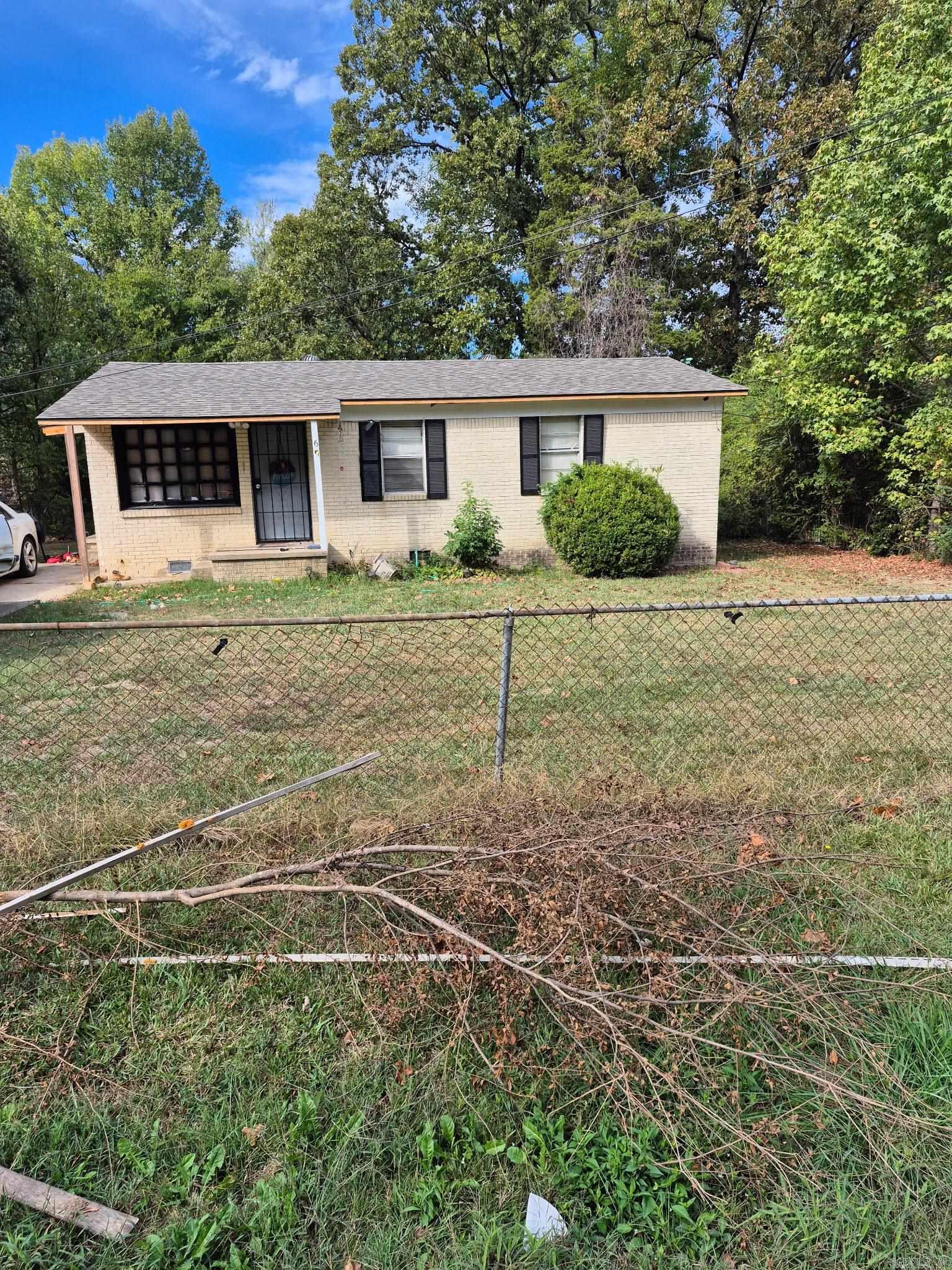 6 Meadowlark — photo