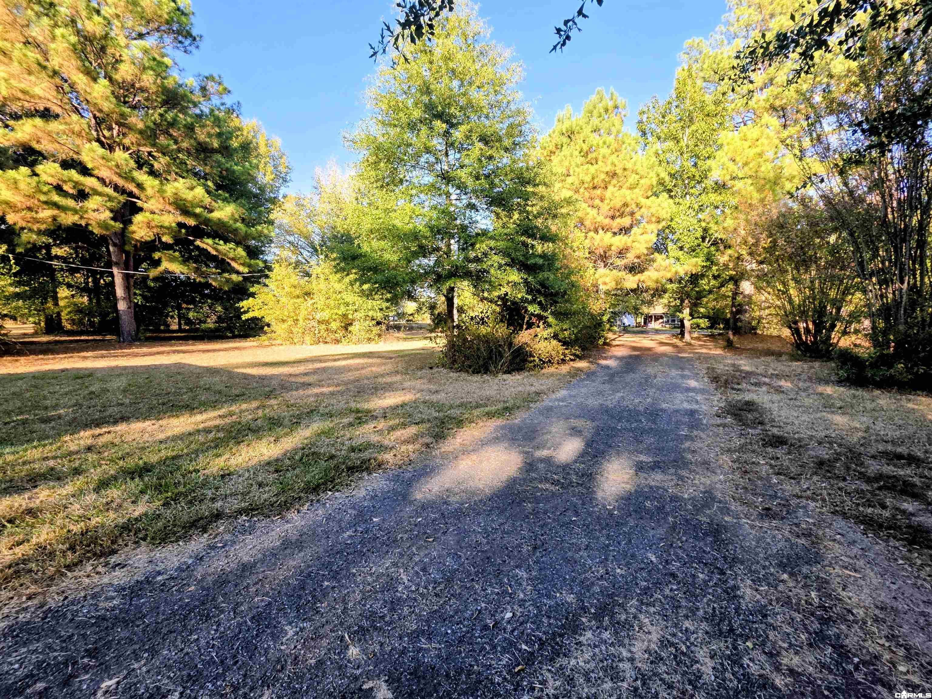 130 Rushing Road, Rison, AR 71665 — photo 3