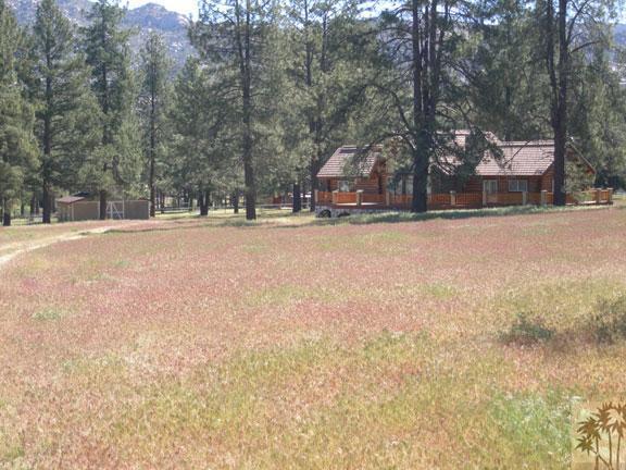 35680 Tool Box Spring Rd, Mountain Center, CA 92561 — photo 2