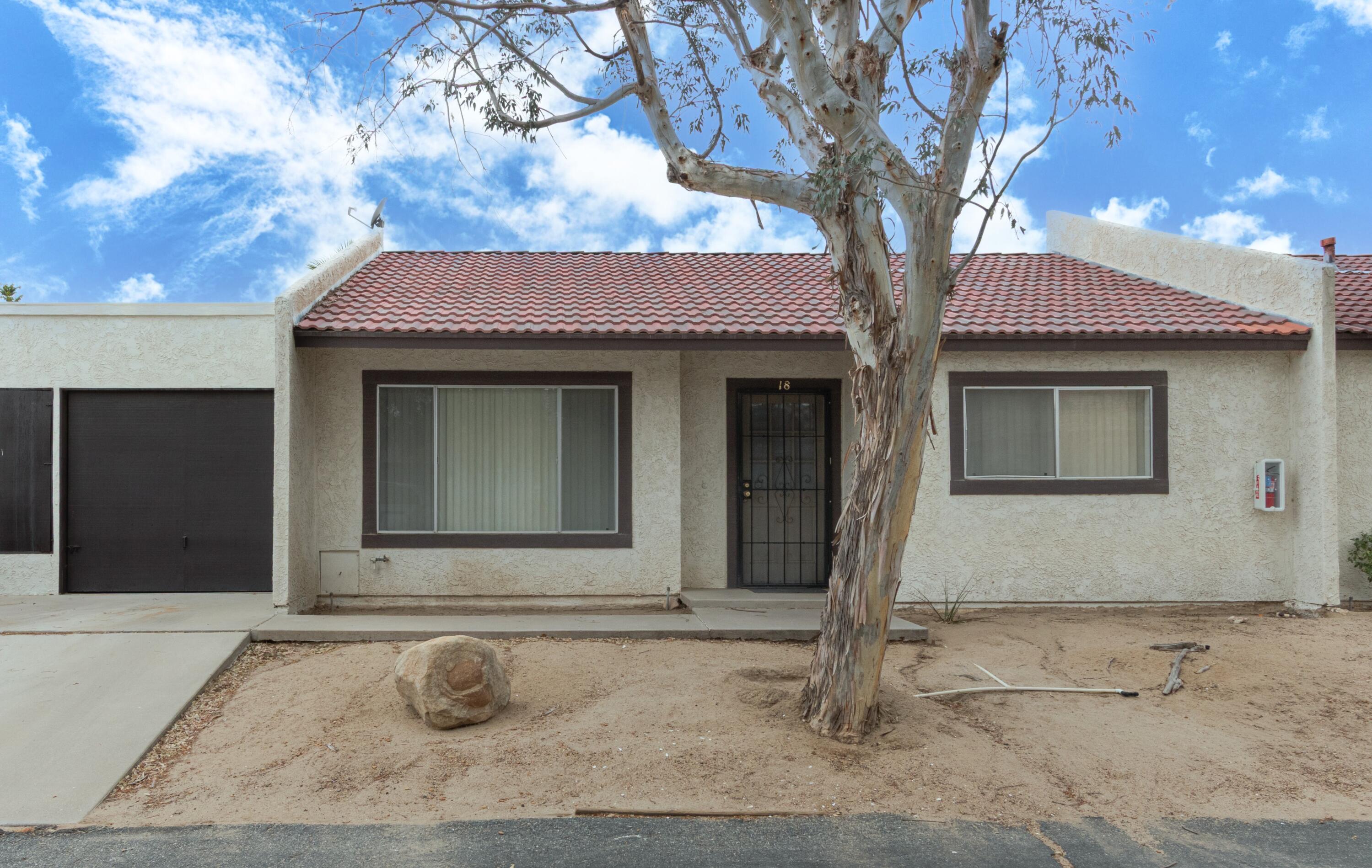 56279 Buena Vista 18 — photo