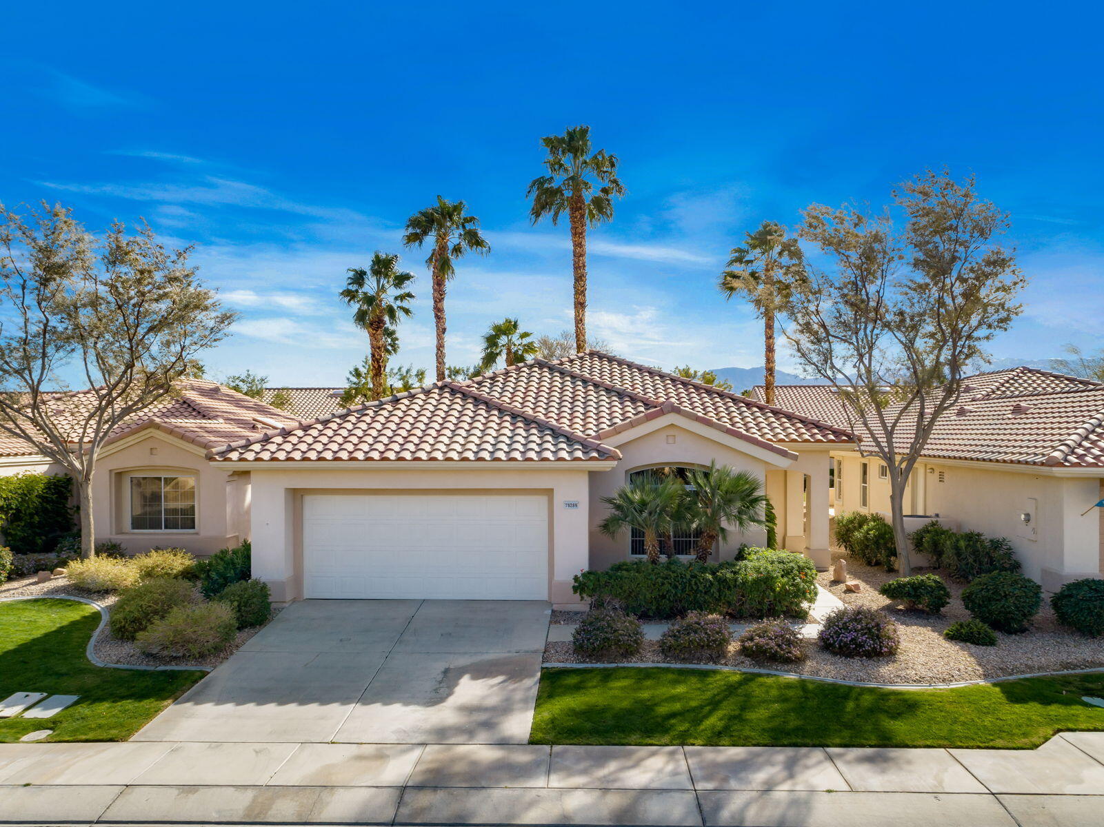 78289 Yucca Blossom Dr — photo
