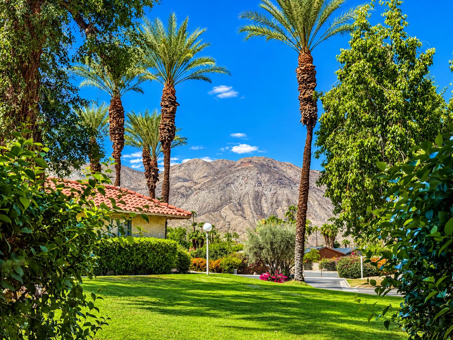 73145 Alice Marble Ln — photo