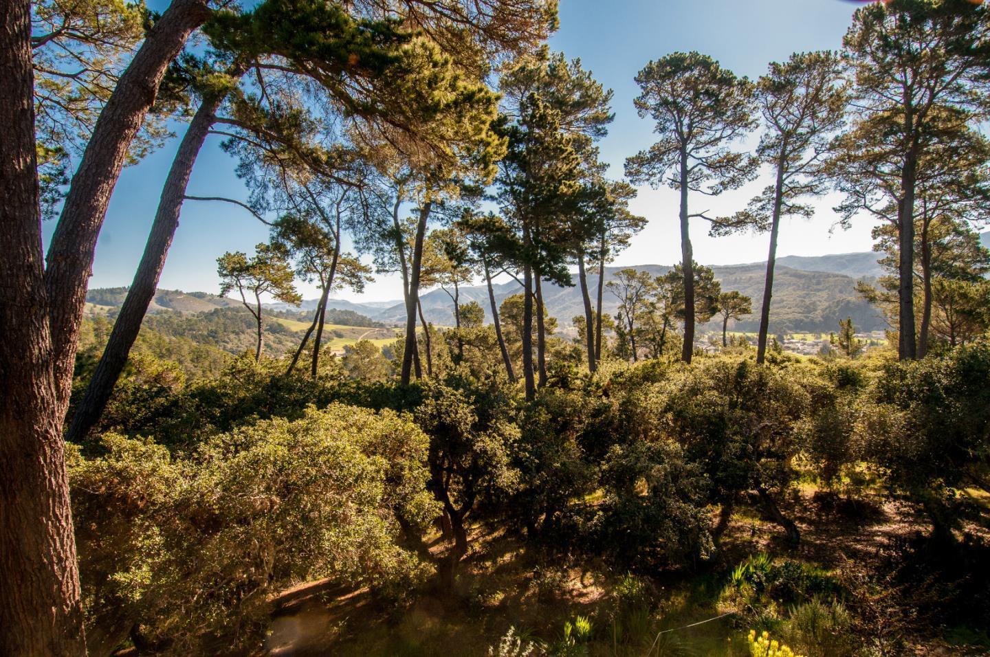 154 Del Mesa Carmel — photo