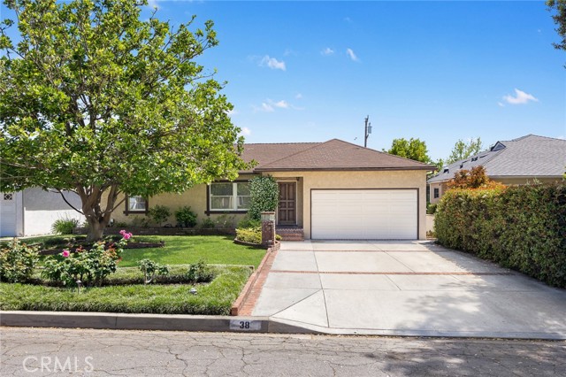38 W Pamela — photo