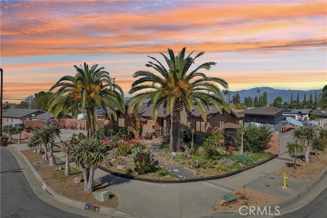 16559 Mcwood — photo
