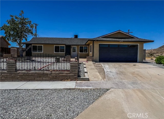 36370 Fern — photo