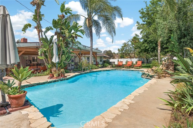 15091 Golden Star — photo