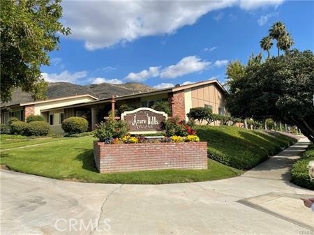 22685 Palm C — photo