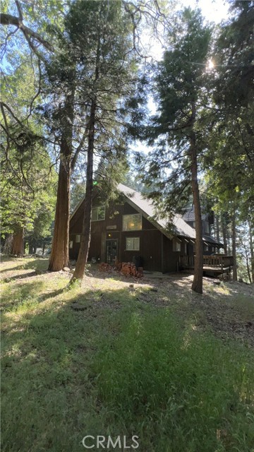 23245 Crest Forest — photo