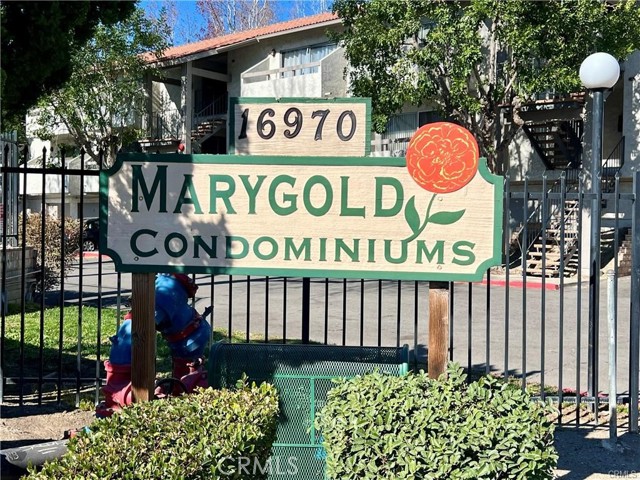 16970 Marygold 1 — photo
