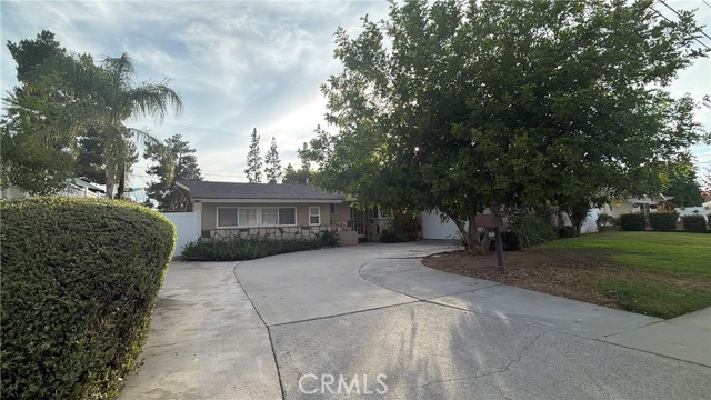 3748 Skylark — photo