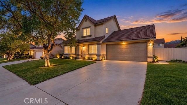 24706 Wild Calla — photo