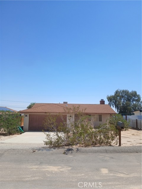 5333 Baileya — photo