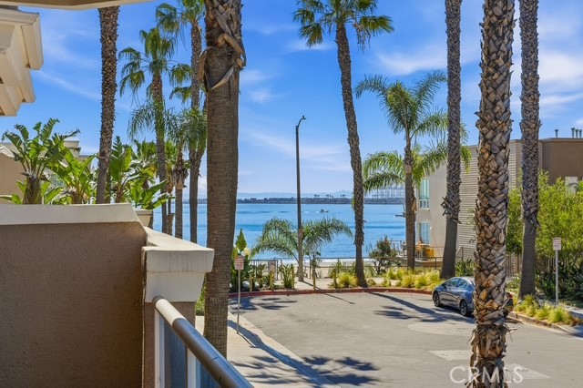 1500 E Ocean Blvd 416 — photo