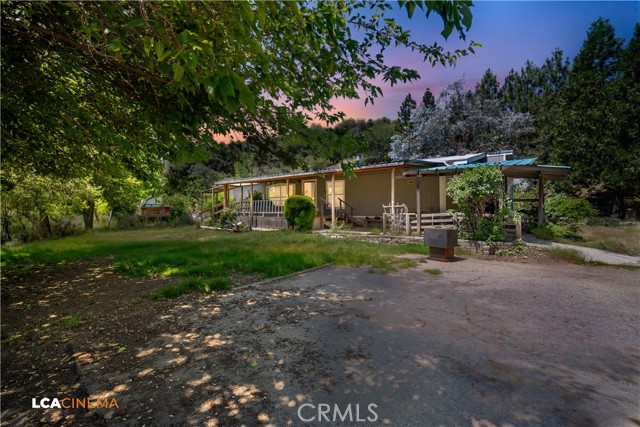 50780 Rosemary — photo