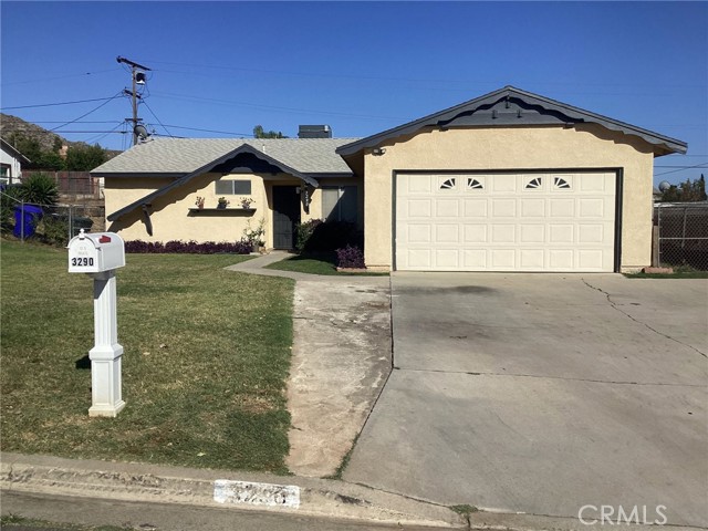 3290 Joel — photo
