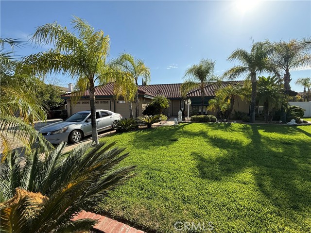 11551 Knoll Vista — photo
