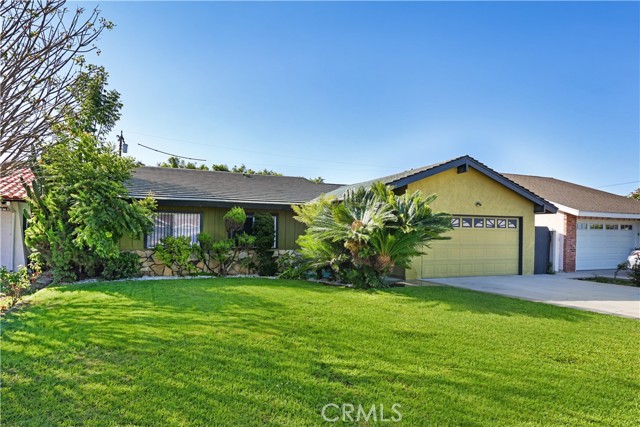 11858 Haro — photo