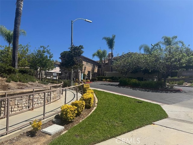 26364 Arboretum 3301 — photo