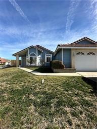 37510 Conifer — photo