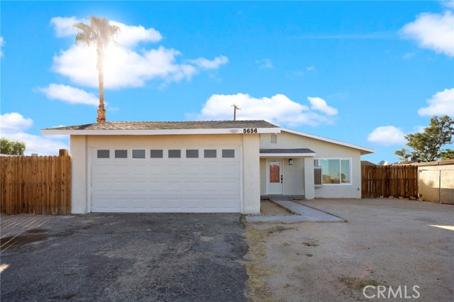 5656 Daisy — photo