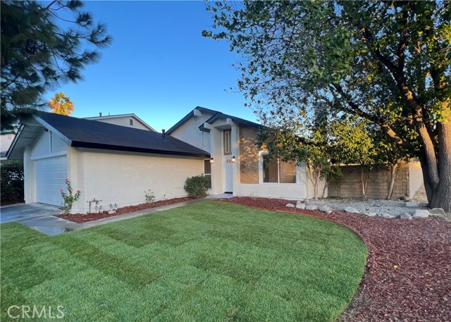 27502 Caraway — photo