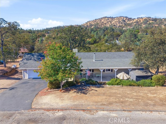 29036 Deep Forest — photo