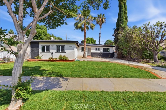 19649 Friar — photo