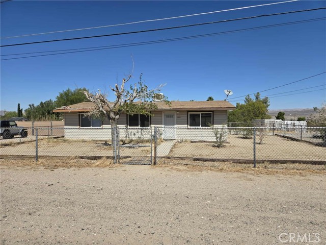 1901 Vineyard — photo