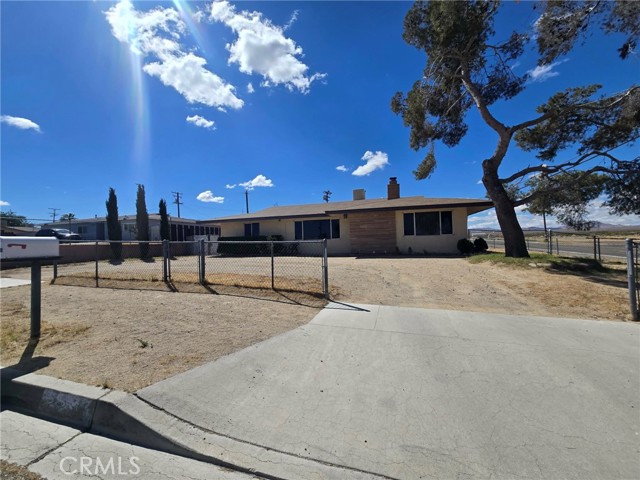 25391 Bejoal — photo