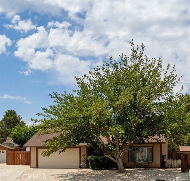 15016 Whitekirk — photo
