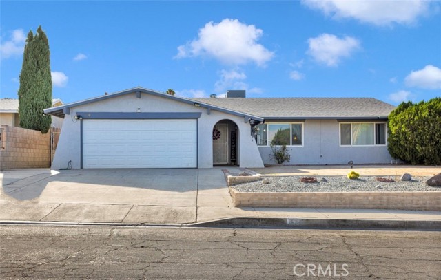 830 Cholla — photo