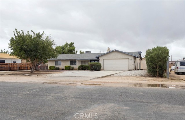 17969 Yucca — photo